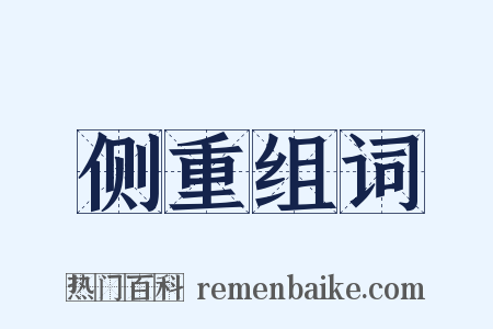 侧重组词是什么意思的图片